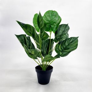 Calathea Orbifolia kunstplant